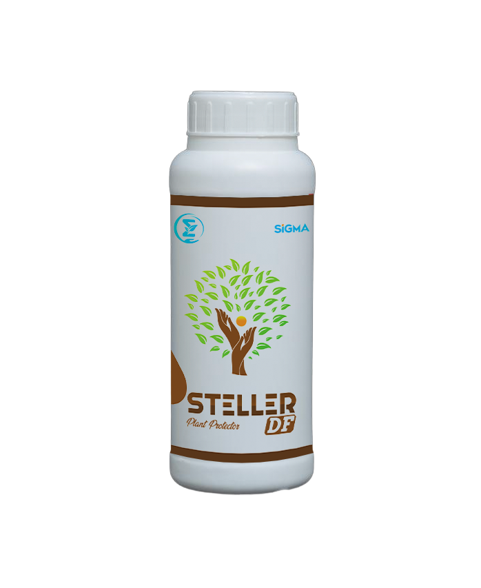STELLER DF